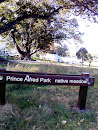Prince Alfred Park Native Meadow  