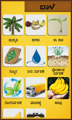 Banana kannada