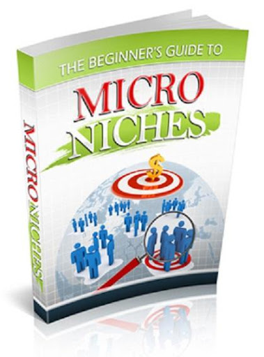 Guide to Micro Niches