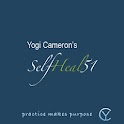 SelfHeal51 Free Demo logo