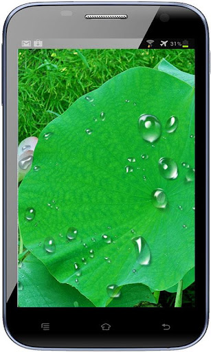 【免費個人化App】RainDrop Live Wallpaper Free-APP點子