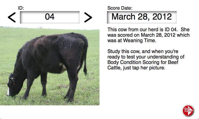Body Condition Score Beef Cows Screen 2
