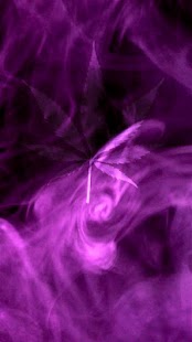 How to download Marijuana Live Wallpaper PRO lastet apk for android