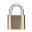 Password Management Download on Windows