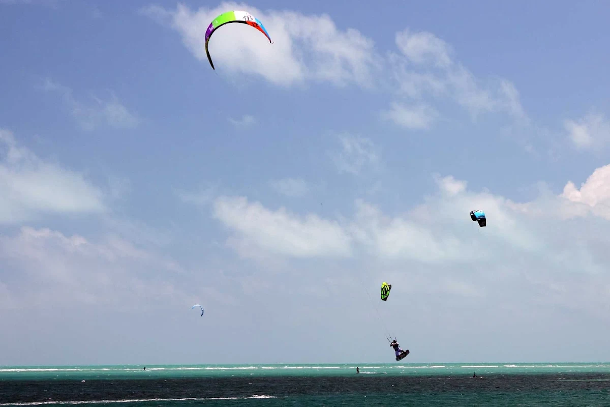 Miami-Crandon-Park-Parasailers - Parasailers in Crandon Park, Miami.
