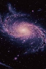 ���� ����������� �����������