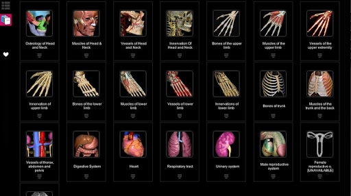 Visual Anatomy Lite on the App Store - iTunes - Apple