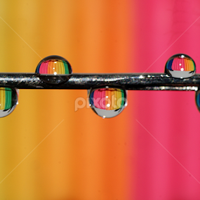 Rainbow drops............. by Aroon  Kalandy - Abstract Water Drops & Splashes