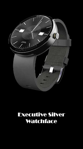 Executive Silver watchface 360