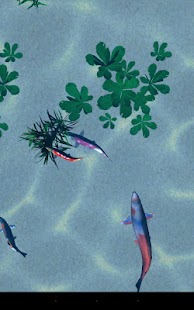 Koi pond 3D Screenshots 11