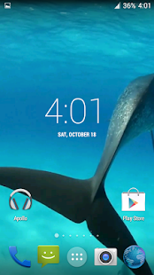 download Dolphins HD. Video Wallpaper free