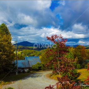 Fall Day in the Blue Ridge by Mackenzie King - Landscapes Mountains & Hills