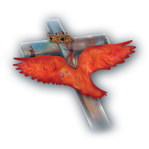 Christian Life Ministry 1.0.4