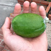 Feijoa (or Pineapple guava or guavasteen)