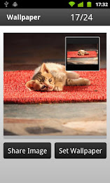 Epshot Wallpaper poster 5