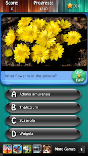 Flowers and Blossoms Quiz HD Screenshots 12