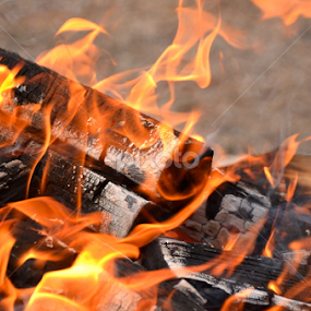 Campfire, Mendocino National Forest, Northern California by Kathleen Koehlmoos - Abstract Fire & Fireworks