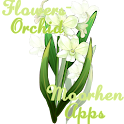 Flowers - Orchid