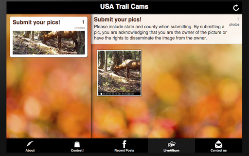 免費下載社交APP|USA Trail Cams app開箱文|APP開箱王