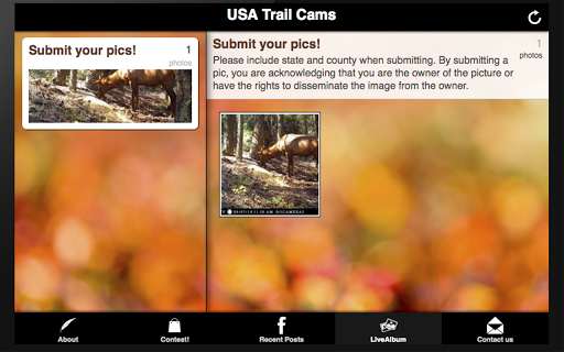 【免費社交App】USA Trail Cams-APP點子