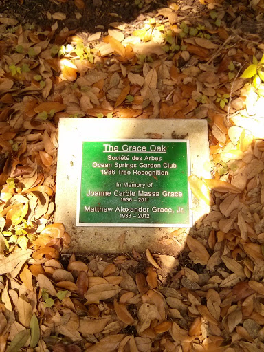 The Grace Oak