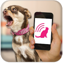 Dog Teaser icon