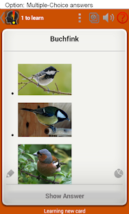 How to get Memorion Flashcard Learning 7.1.2 apk for pc