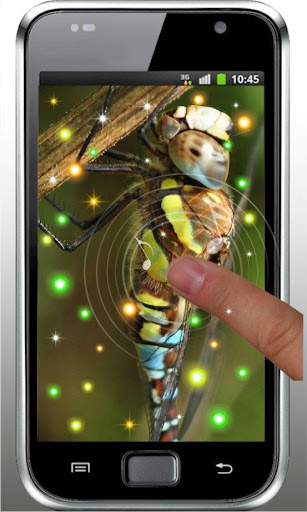 【免費個人化App】Dragonfly Free live wallpaper-APP點子