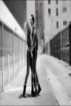 Maroon 5 Live Wallpaper Androidアプリ Applion