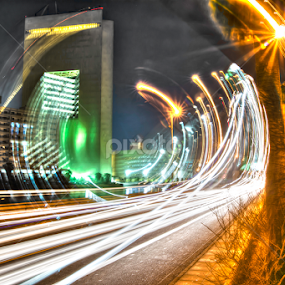 The playful tarails  by Mohammad Alqorashi - City,  Street & Park Street Scenes