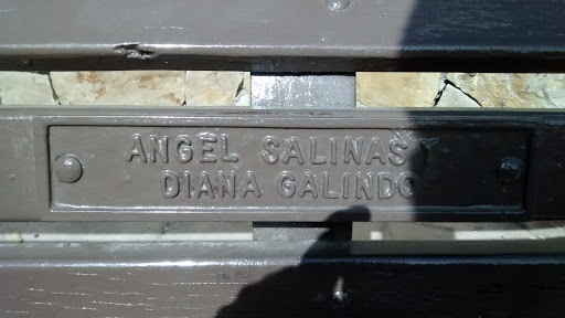 Angel Salinas Y Diana Galindo