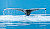 A humpback whale off the coast of Alaska during a Princess Cruises sailing.  