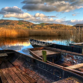 Lake Laach by Dietmar Pohlmann - Landscapes Waterscapes