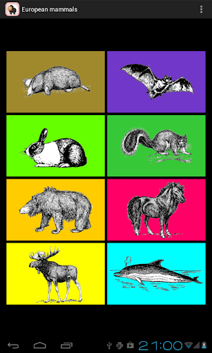 European Mammals