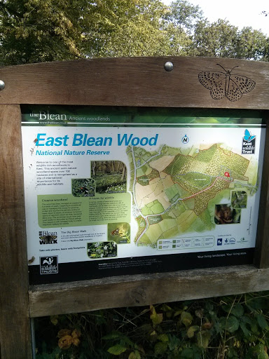 East Blean Wood