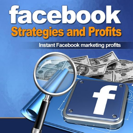 Facebook Strategies Profits