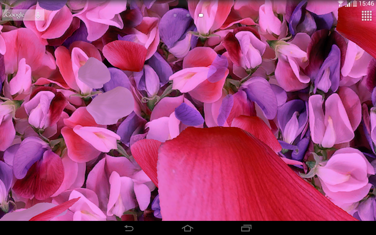 Menakjubkan 26+ Download Wallpaper Bunga Cerah - Gambar ...