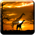 African Scene LITE logo
