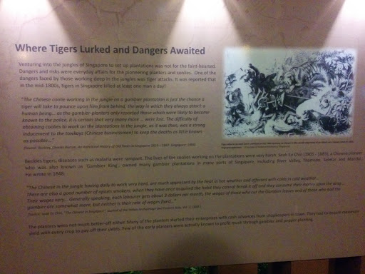 Where Tigers Lurked and Dangers Awaited