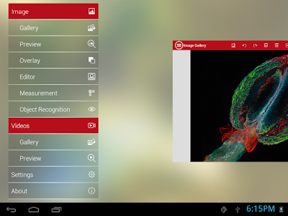 mVision Demo Screenshots 1