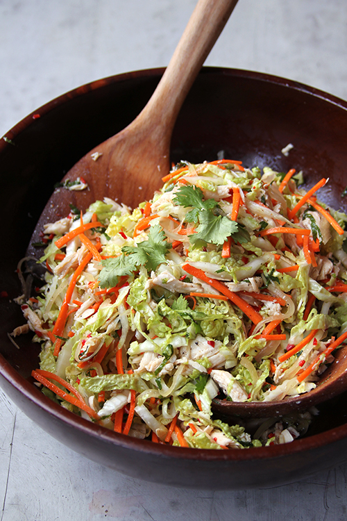 10 Best Shredded Chicken Salad Recipes