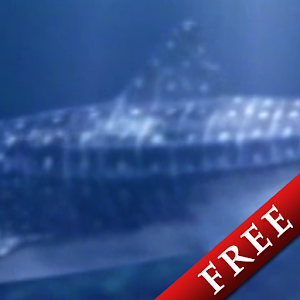 Whale Shark Trial Latest Version APK for Android Android Personalization Apps