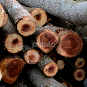 by Ajar Setiadi - Artistic Objects Other Objects