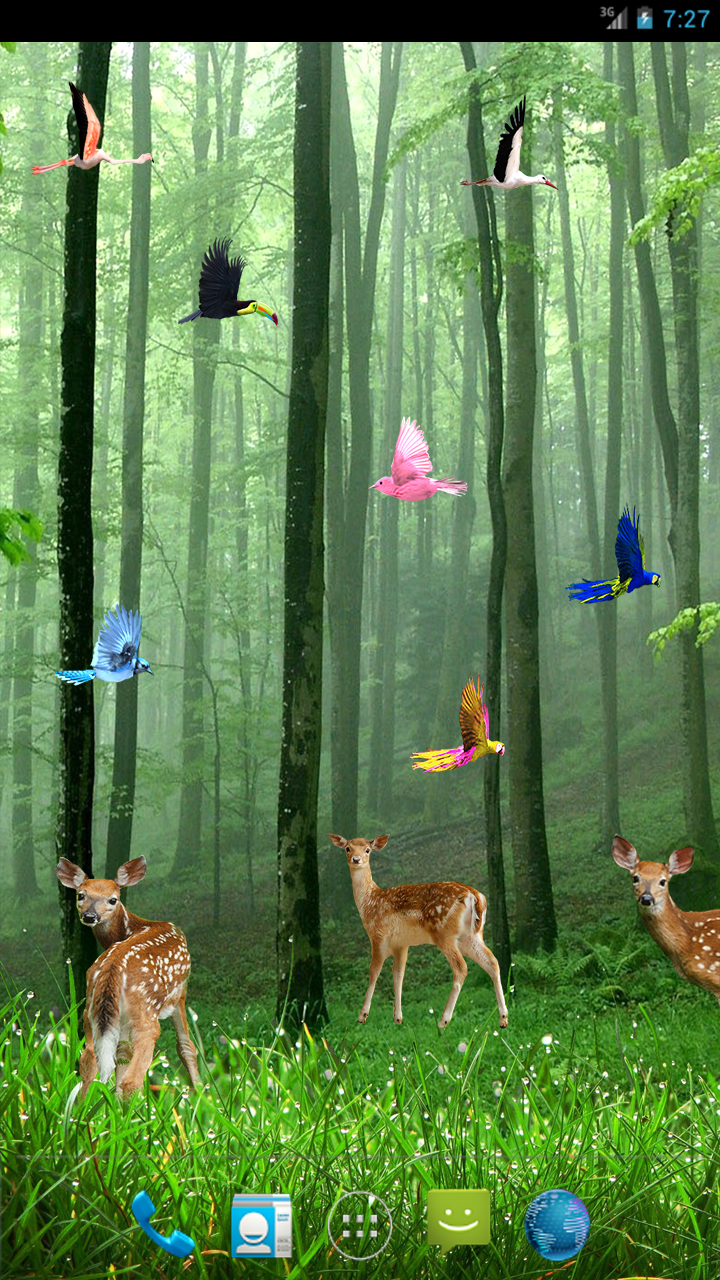 Rain Forest LWP Screen 3