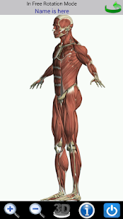 How to mod Visual Anatomy 4.1 unlimited apk for android