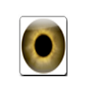 Eye Test logo