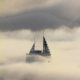 Chamsim in the Morning by Renée Politzer Nass -  