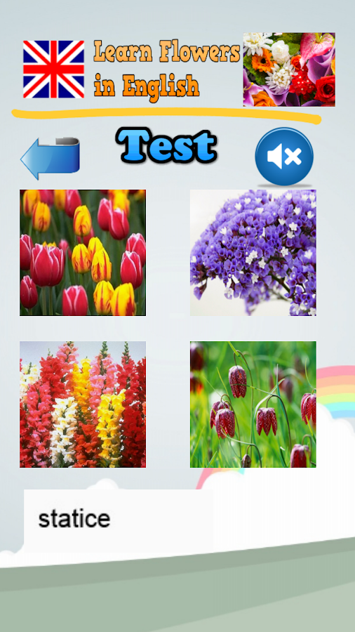 Learn Flower Names in English - Android Apps on Google Play
