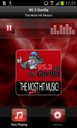 95.3 Gorilla