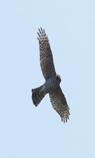 Lastest Test4JHKIM APK